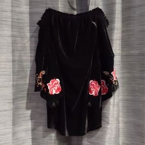 Francesca's Velvet Dress